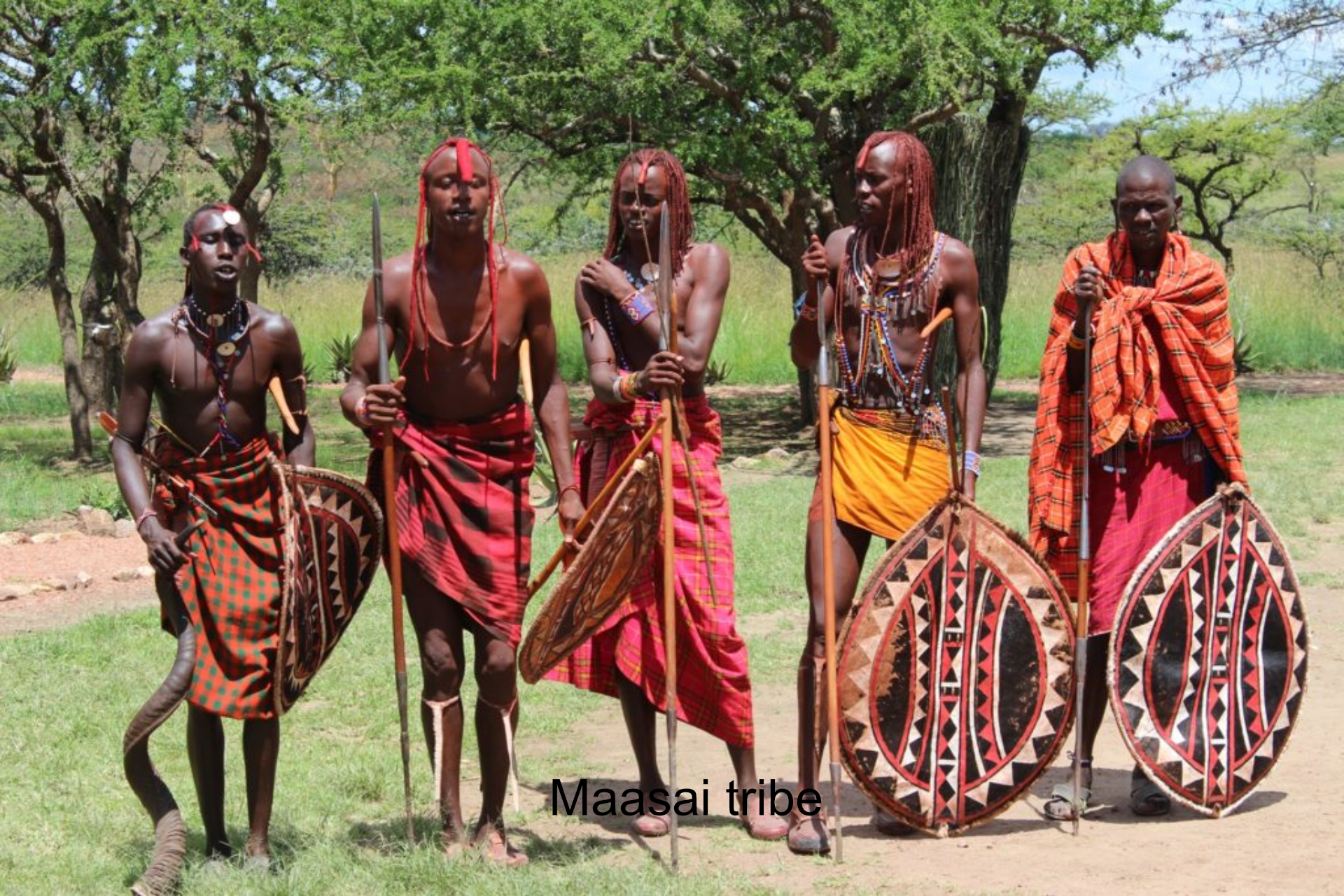 Maasai.jpg